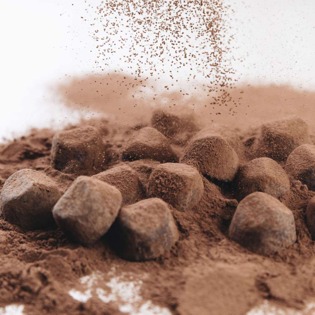 chocolate-truffles-with-cocoa-powder